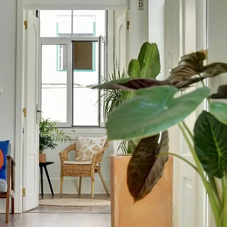 Apartament Unique Sao Bento Ideal For A Group Lizbona