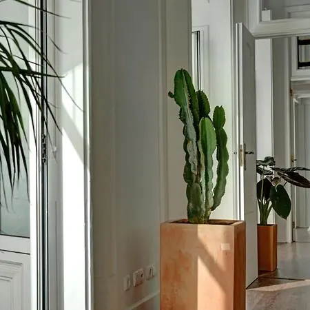 Unique Sao Bento Ideal For A Group Lisbon